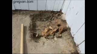 How I Removed Tree Roots Growing Underneath My Concrete Footing – Building Repair Tips
