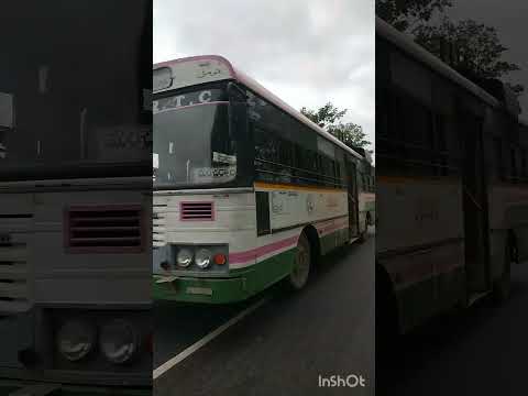 Nirmal To Manchiryal#pallevelugu#bus#Nirmal#depot#bus#tsrtc#plz_subscribe_my_channel🙏