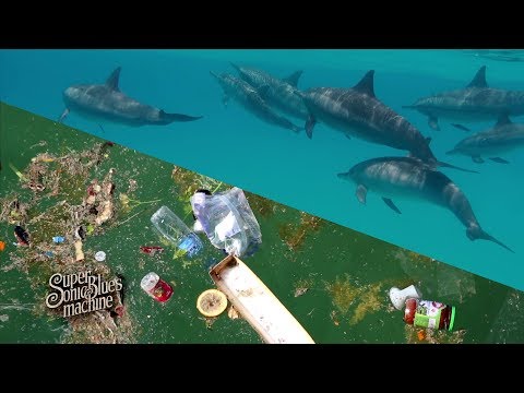 Supersonic Blues Machine - Right Now (Official Music Video) #EarthDay