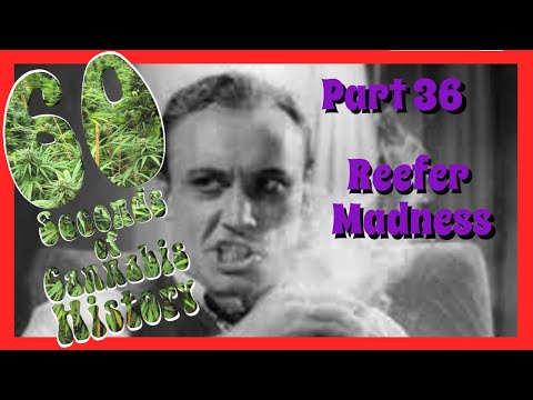 60 Seconds of Cannabis History: Part 36 - Reefer Madness