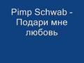 Pimp Schwab - podari mne lubov 