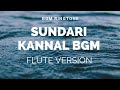 Flute Version Sundari Kannal Bgm STYLISH BGM PRO