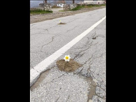 DRDP CLUJ-și CNAIR tronsonul Buru Ocolișel nu trebuie modernizat