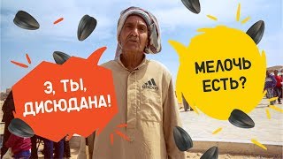 Обман по-египетски: 8 способов «развода» туристов на деньги