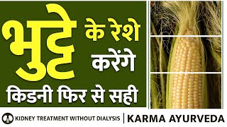 भुट्टे के रेशे से भागेंगे सब बीमारी | Corn Silk in Kidney  Disease | Dr Puneet Dhawan