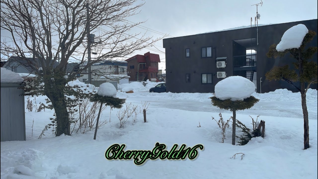 SUNDAY LIVE ❄️☃️snowfall again #hokkaidolife #snow #hokkaidojapan #buhayjapan