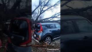 Massive tree on house cleanup 3-15-2025 tornado