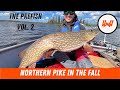 Video Thumbnail for The Pre Fish Vol. 2 // How to catch Fall Time Northern Pike