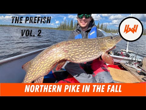The Pre Fish Vol. 2 // How to catch Fall Time Northern Pike
