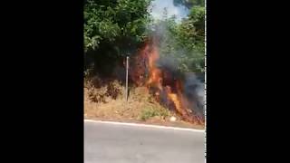 nuovo-incendio-sulla-variante