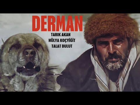 Derman Türk Filmi | FULL | 4K Ultra HD | Tarık Akan | Hülya Koçyiğit | Talat Bulut