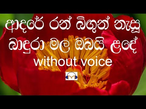Adare Ran Bigun Nasu Karaoke (without voice) ආදරේ රන් බිඟුන් නැසූ