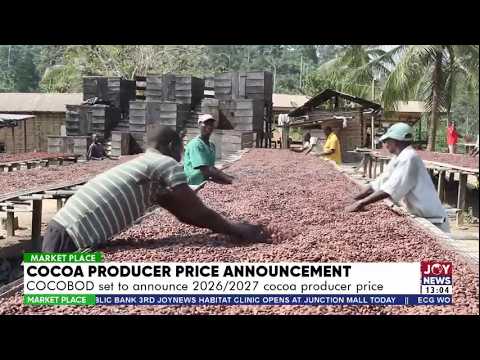 Cocoa Producer Price Announcement: COCOBOD set to announce 2026/2027 cocoa producer price