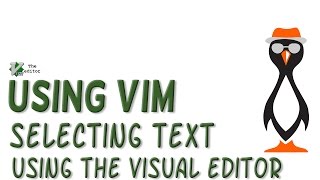 Using the VIM Visual Editor to Select Text
