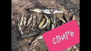 Ловля щуки в устье свири