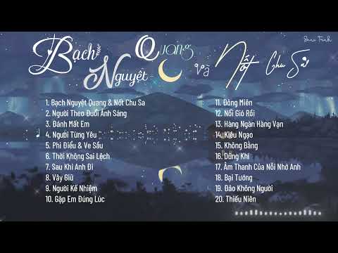 [Playlist #1] ♫ NHỮNG BẢN NHẠC TIẾNG TRUNG HAY NHẤT (TikTok)