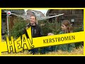 HEA! Kerstboomverkoop is weer los