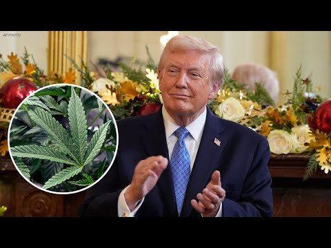 Trump to sign executive order reclassifying marijuana: Officials