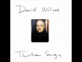 David Wilcox - Three Past Midnight