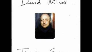 David Wilcox - Three Past Midnight