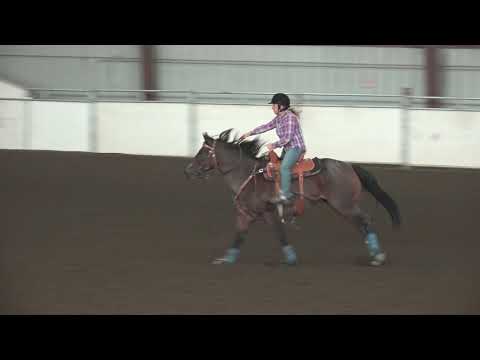 Heather Seiler and "RCA Pretty Bar Wilma ""Wilma"""17.456 NWNBHA Finals 9-23-18