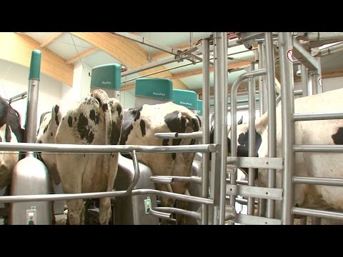 GEA Dairy Farming - Automated Milking with GEA DairyProQ - EN