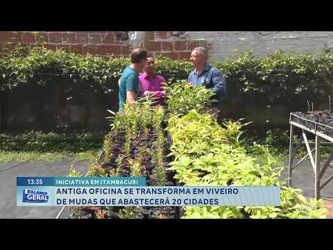 Iniciativa em Itambacuri: Antiga oficina se transforma em viveiro de mudas que abastecerá 20 cidades