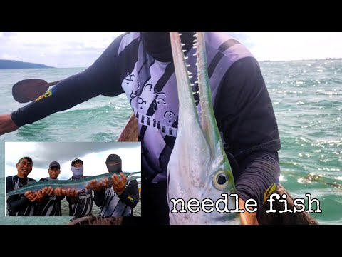 Part-2 Unang Kana ng Bagong Kitang - Naka Huli Kami ng Malaking Needle Fish o Katsawang