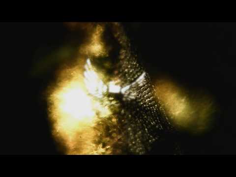 Leon Somov and Jazzu - Updated