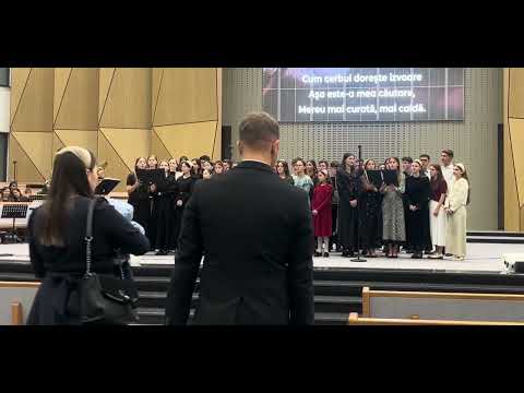 Grup Botoșani - Te caut, Te caut, Isuse 