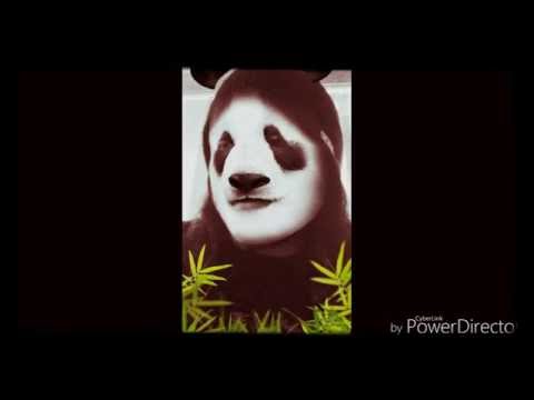 Video thumbnail for Lisbon Zoo