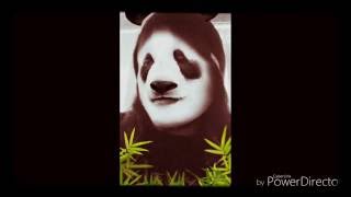 Panda Bear - Lisbon Zoo (low quality Studio version)
