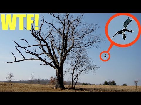 (Disturbing) You will not believe what my drone saw at the Devils Tree (Jersey Devil spotted)