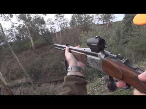 Driven Fox Hunt with Blaser BBF97, Aimpoint H1 Micro and Dachshunds Victoria 25/06/2017