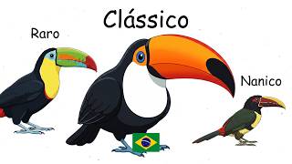 Cada Tucano do Brasil Explicado em 8 Minutos