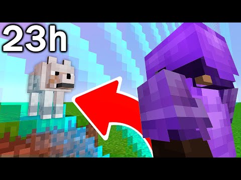 THE MEGA SECRET BASE OF MY PET