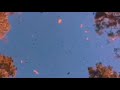 Ye Meri Hai Kahaani Atif Aslam Whatsapp Status Aesthetic