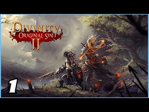 Divinity Original Sin 2 : Gameplay Walkthrough Part 1 FR - No Commentary - 4K 60fps