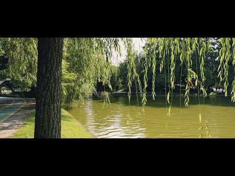 Nokia X20 5G, Video Sample (Cinematic)