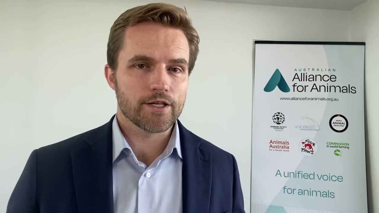 Voiceless Grant Recipient, Jed Goodfellow, Australian Alliance for Animals