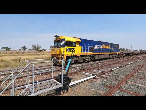 NR55 on 3YN2 crossing 3SP7 at Yarrabandai NSW.  Wed 06th Apr 2022