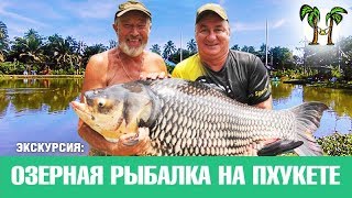 Рыбалка на пхукете карпы
