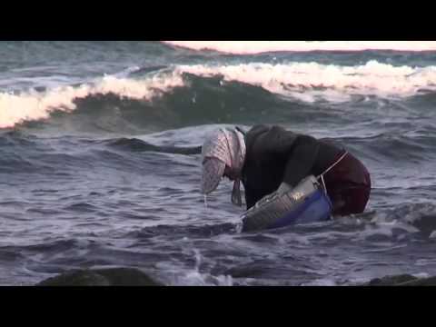 鳥海山・飛島ジオパーク構想GEOMOVIE　遊佐エリア