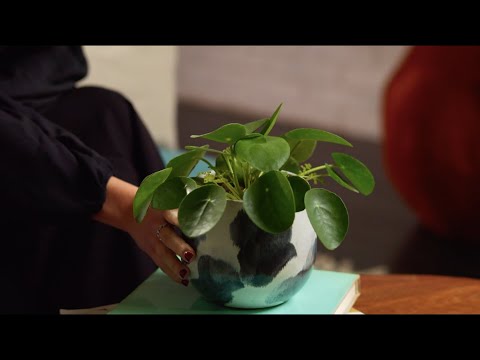 Anteprima video