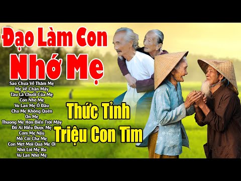 Đứt Từng Đoạn Ruột Nghe Hát Về Mẹ - Khóc Hết Nước Mắt Vì Nhớ Mẹ Cha #79 Bài Đạo Làm Con,  Nhớ Mẹ,...