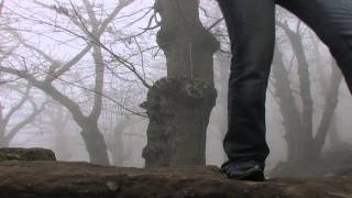 Arena Aniello Molinaro INCONTRO D'AUTUNNO