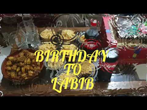 LABIB BIRTHDAY || CELEBRATE | AKBAR THE PRESS VLOG