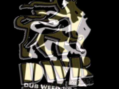 Black Stallion - War + Version