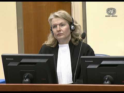 Highlights of the Appeal Judgement in the case of Radovan Karadžić