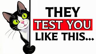6 Tests Cats Use to Choose Their Favorite Human